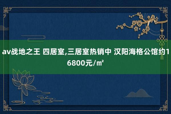 av战地之王 四居室，三居室热销中 汉阳海格公馆约16800元/㎡