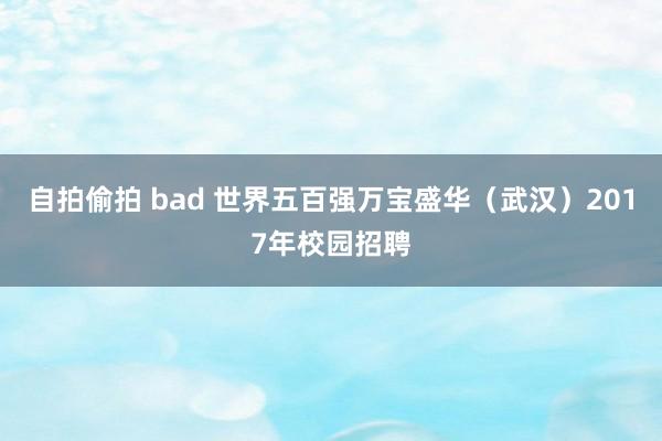 自拍偷拍 bad 世界五百强万宝盛华（武汉）2017年校园招聘