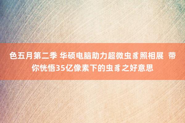 色五月第二季 华硕电脑助力超微虫豸照相展  带你恍悟35亿像素下的虫豸之好意思