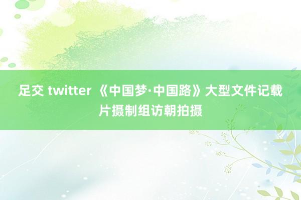 足交 twitter 《中国梦·中国路》大型文件记载片摄制组访朝拍摄