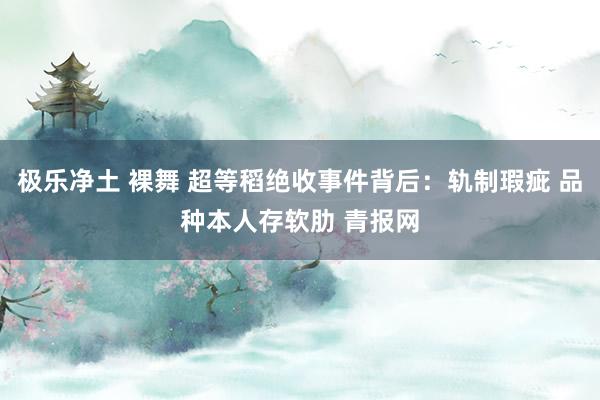 极乐净土 裸舞 超等稻绝收事件背后：轨制瑕疵 品种本人存软肋 青报网